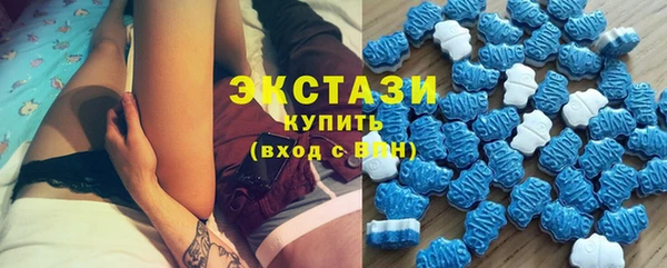 мяу мяу мука Аркадак